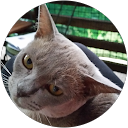 Debbie Haddleton profile picture